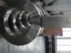 Paduan  825  Spacer Ring