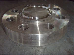 Flensa Astm A182 F304 F304l F347h