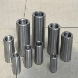Stainless 317 317L Forged Socket Threaded Plug Nipple Boss Union Masukkan