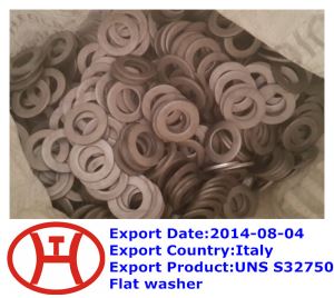 UNS S 32750  Flat Washer