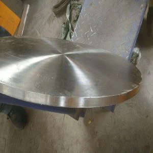 Hastelloy C276 Disc