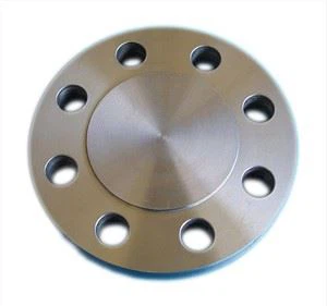 S31803 FLANGE BUTA